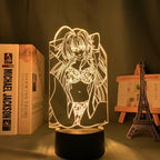 High School DxD 3D LED Lamp