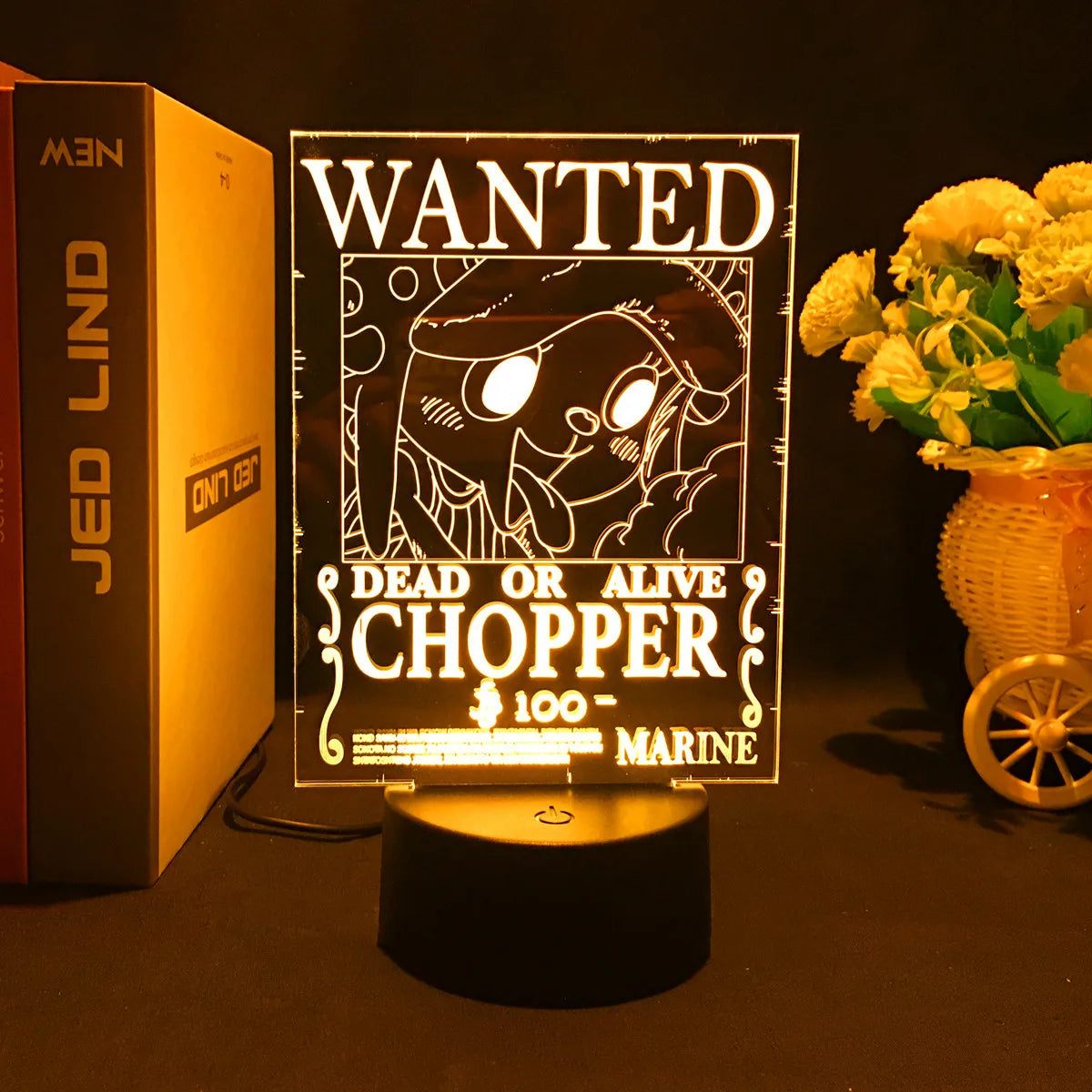One Piece 3D illusion lamp